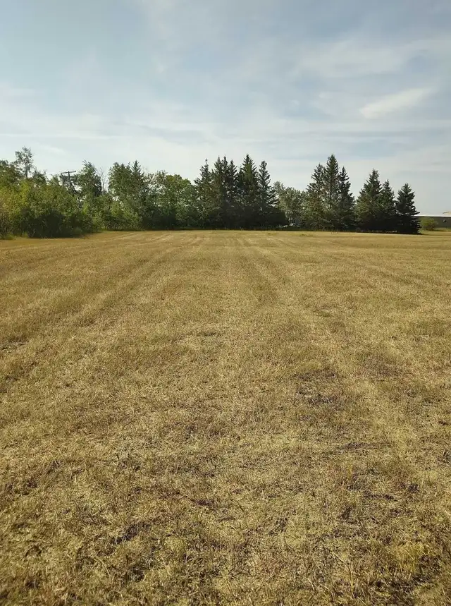 5 Acre residential lot for sale