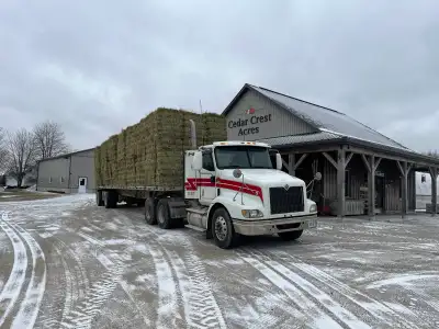 Hay for sale, View more