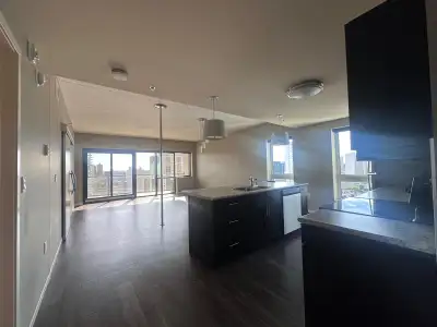 Stunning Downtown Apartment for Sublet