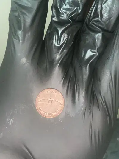Willing to negotiate got tons of rare coins for the right collector.