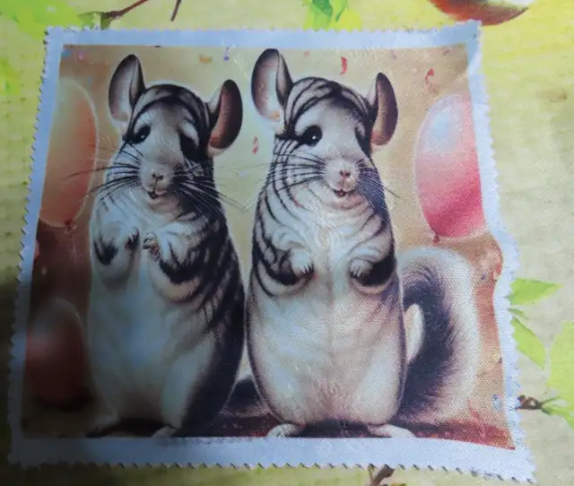 chiffon à lunette in Hobbies & Crafts in Shawinigan - Image 10