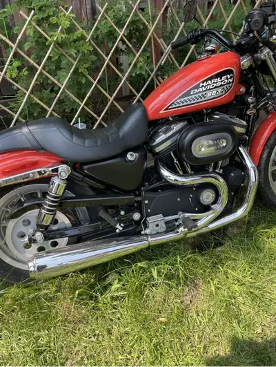 This is Dave , a noble and trusty steed . I am his second owner , but don’t let that sway you as Dav...