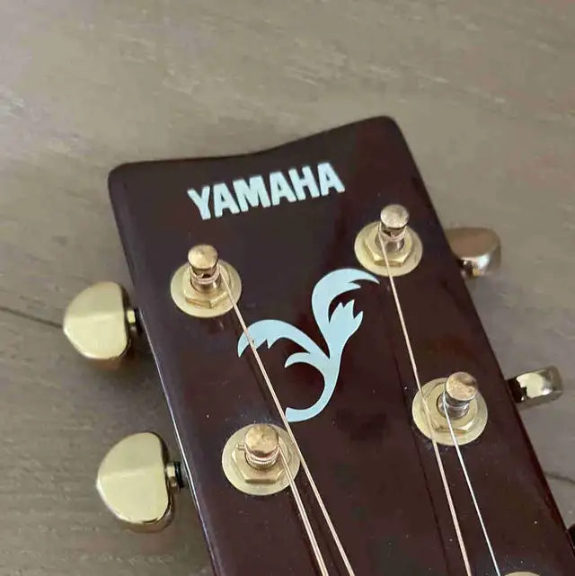 Guitar Services & Care