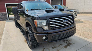 2010 Ford F 150
