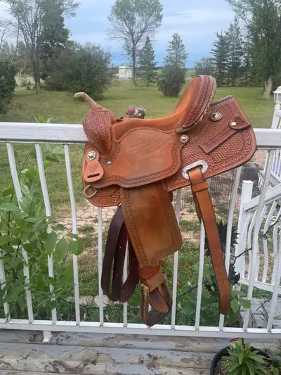 barrel saddle , View more