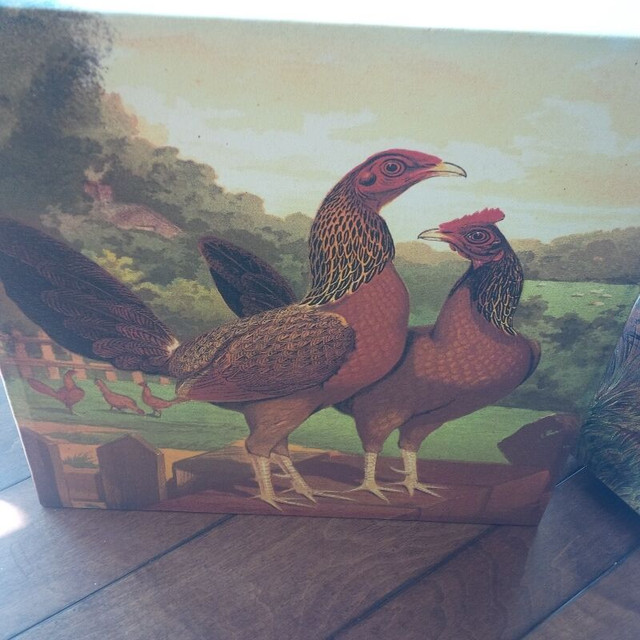 Large Sized Hens and Roosters Wall Art - 4 Pieces in Arts & Collectibles in Stratford - Image 4