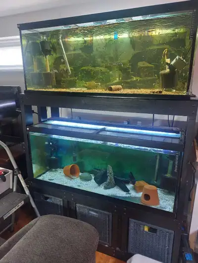 2 x75 g avec rack equipés, View more