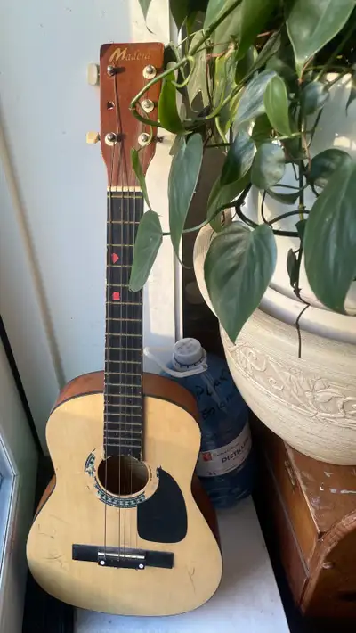 Vintage Madera Acoustic Guitar Project, View more