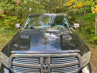 Classic trades? 2013 Ram bighorn edition with Meyers Plow