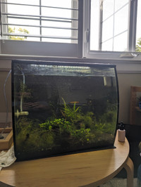 Fluval flex 15 with gravel and upgraded cycled media
