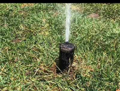 Free estimate