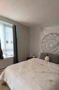 Room for Rent (Sublet)- Downtown Ottawa/Sandy Hill/uOttawa