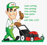Affordable Lawn&Tree cutting Service in Mississauga
