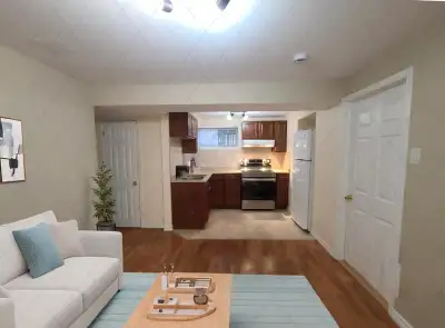 Newmarket - Alexander Rd. – Sparkling Clean lower level