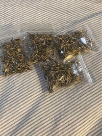 Marigold seeds. 6-8” mix