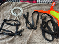 Different Dog Leashes And Safety Vest