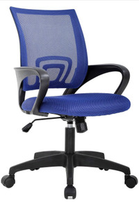 Coloured Ergonomic Home Office Chair with Lumbar Support