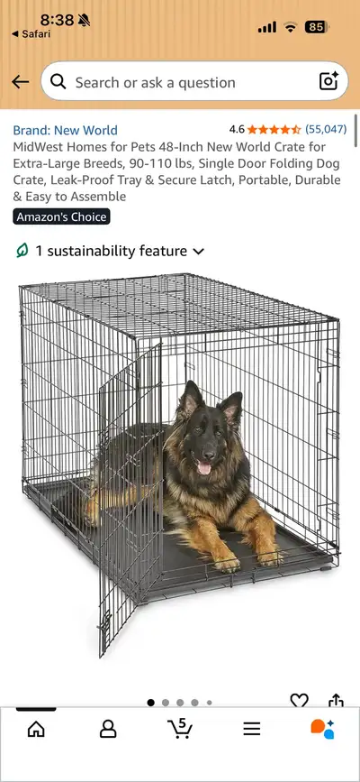Dog kennel trade? , View more