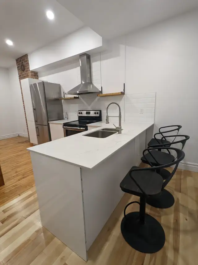 Furnished all inclusive 4 bedroom apartment near McGill