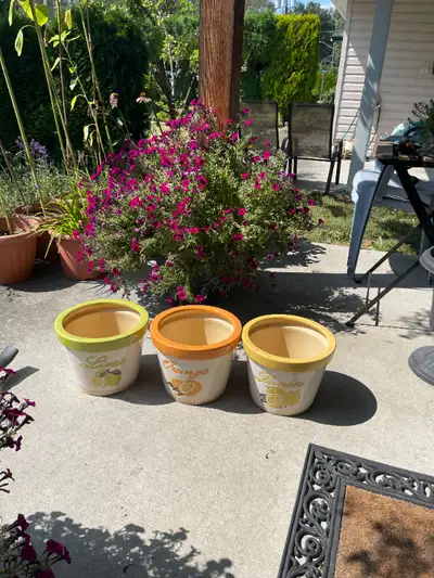 Labelled Pots for Lemon, Lime and Orange Trees, View more