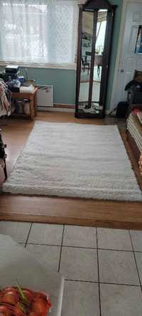 Hampen rug  160 sm by 230 small from IKEA