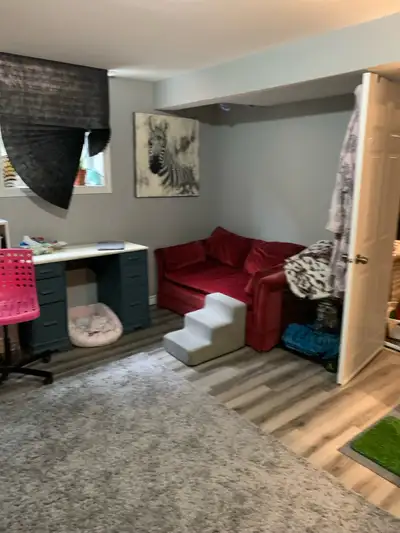 Very large just renovated room in basement with walk-in closet, private bathroom. All amenities incl...