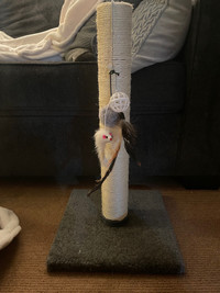 unused cat scratch post