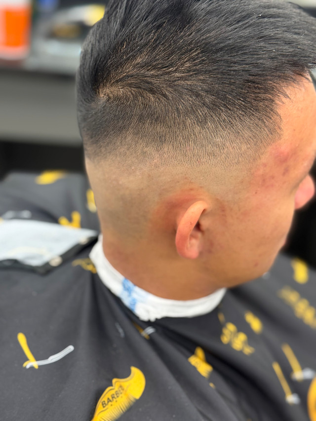 free hair cut  in Hair Stylist & Salon in Ottawa