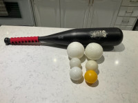 Plastic Baseball Bat and Balls