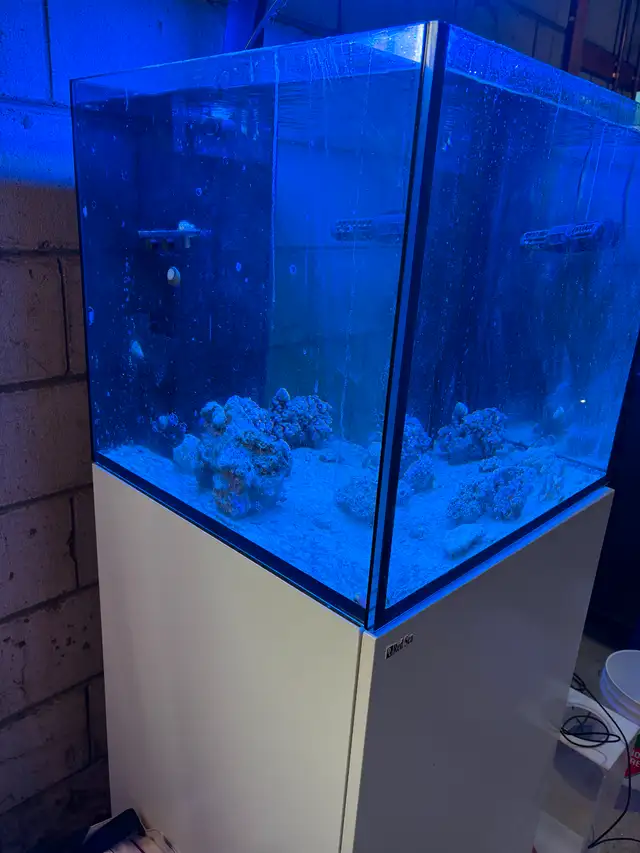 Red Sea Reefer 200XL + White Cabinet + Other Equipment in Other in Oakville / Halton Region - Image 3