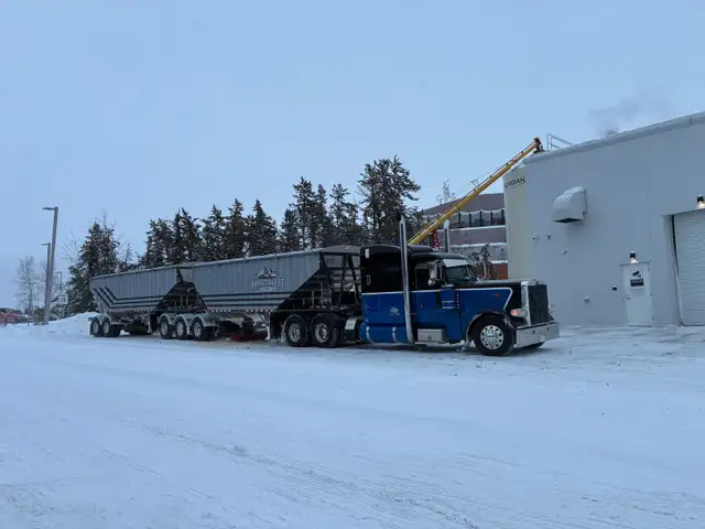 2019 389 in Heavy Trucks in Grande Prairie - Image 3