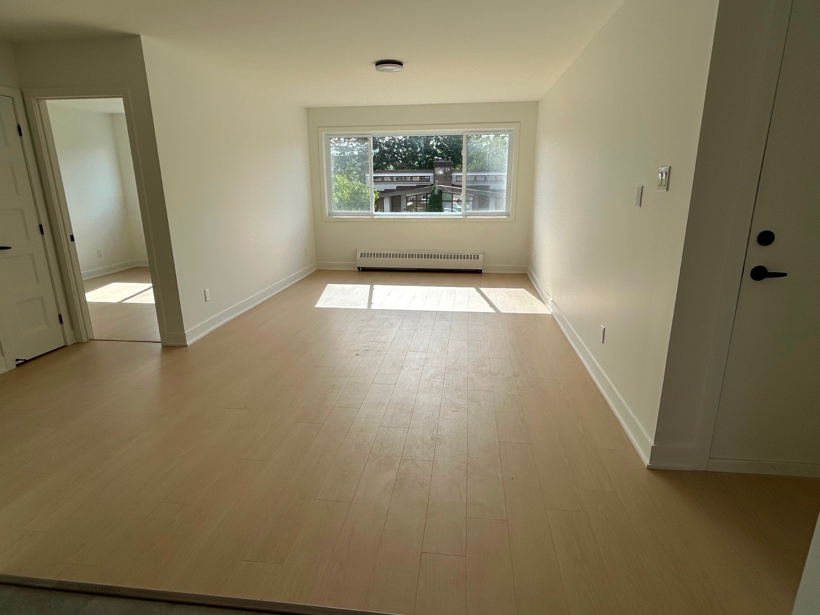 249 Rue Roy — photo 2