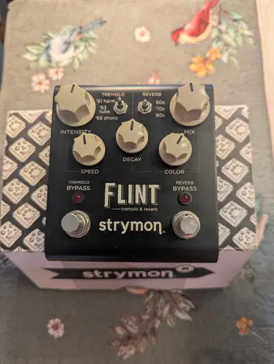 Strymon Flint, View more