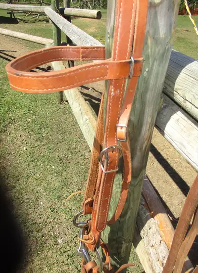 Western quality bridle for full size draft horse, 8' reins, View more