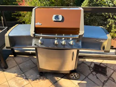 BBQ Napoléon Prestige II 450, View more