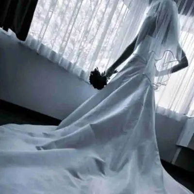Strapless wedding dress. Has a train and a French Bustle (under-bustle) to secure train underneath....
