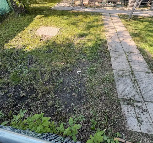 lawn cutting $20 & Up62865710607746126