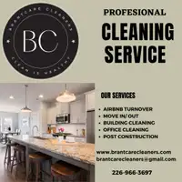 Professional Cleaning 
