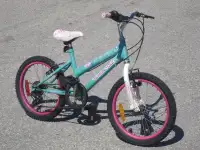 YES OUTGROWN GIRL'S 18" SUPERCYCLE FLY GIRL 5 SPEED MTB BIKE!