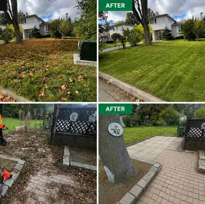 Landscaping & Lawn Care Services | Yard Cleanup & Grass Cutting, View more
