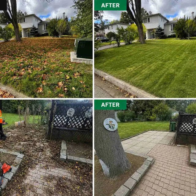 Landscaping & Lawn Care Services | Yard Cleanup & Grass Cutting in Lawn, Tree Maintenance & Eavestrough in City of Toronto - Image 2