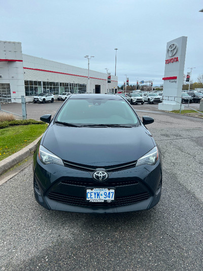 Toyota Corolla 2019 | No Accidents | Clean Title | Very Low Kms