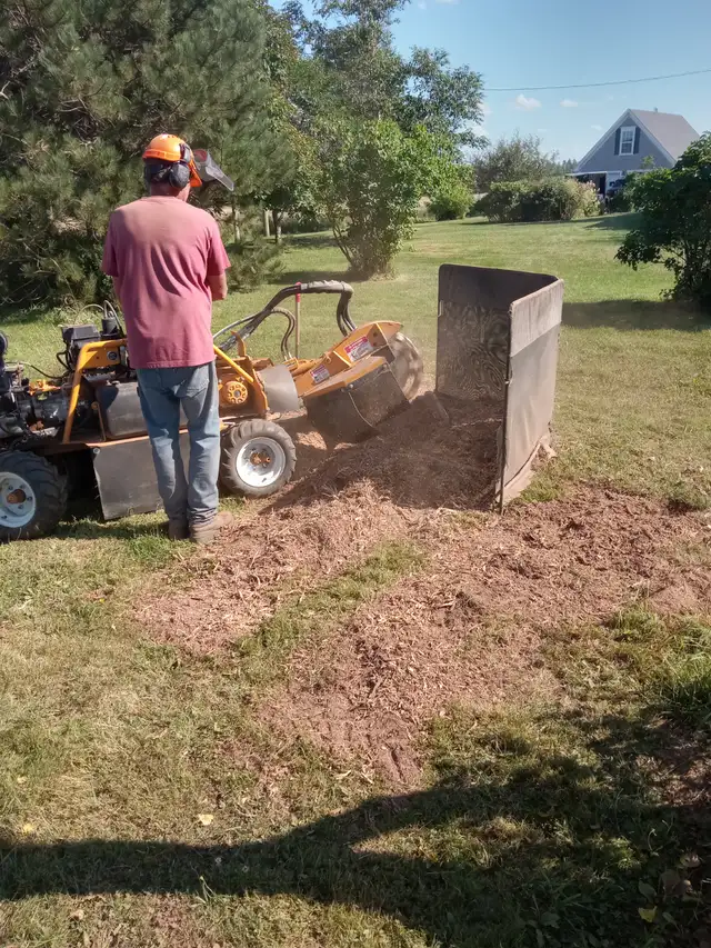 R U Stumped PEI - Stump removal in Lawn, Tree Maintenance & Eavestrough in Summerside - Image 5