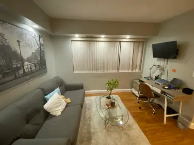 1 Bedroom Condo available for rent