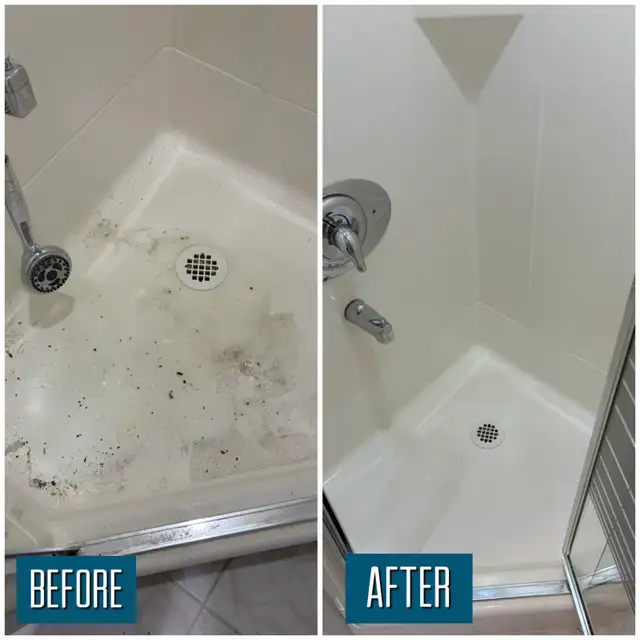 Apartment & Condo Cleaning From $119