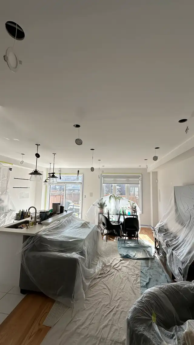 Diligent Painting, Affordable Handyman and Renovations ️62863711069827124