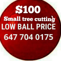 $100 Tree Removal.  647-704-0175 negotiable.