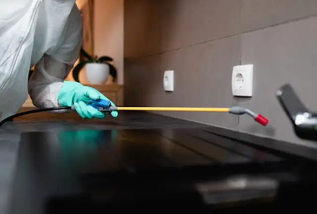 Pest control, Raccoon, Roaches, Mice, Bedbug 647559436562863723780354122