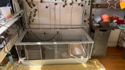 Bonjour! Je vend les affaires de mon lapin il est malheureusement mort ce matin et j’ai besoins d’ar...