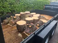 Free firewood logs